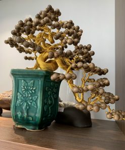 trầm cảnh bonsai