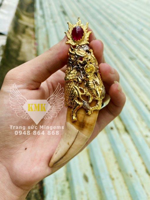 nanh cọp bọc vàng 18k