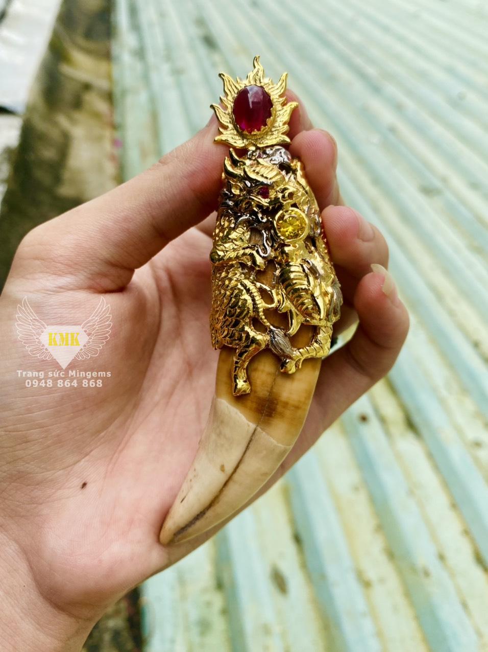 Mẫu bọc Nanh Hổ FAKE vàng 18k hình Rồng Cuộn ĐỘC ĐÁO NHẤT HIỆN NAY