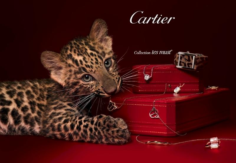 Cửa Hàng Cartier Hà Nội Sang Trọng