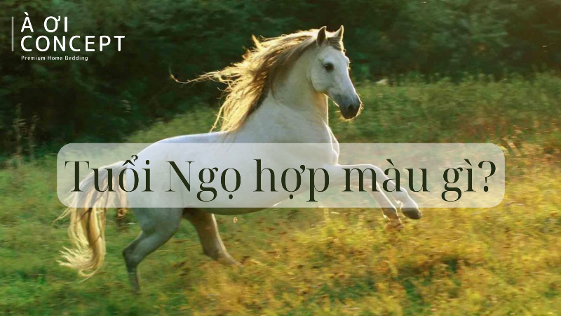 Đá phong thủy thạch anh tím hợp tuổi Ngọ mệnh Hỏa nữ mang lại may mắn